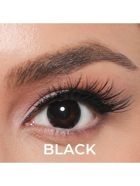 Labella Siyah Renk Black (3 Aylık) Hareli